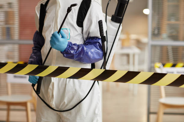 Professional Sewage Cleanup technician working in Auberry, CA